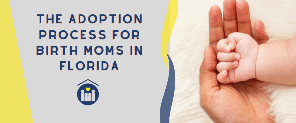 Adoption process for FL birth moms FLAdoption 1