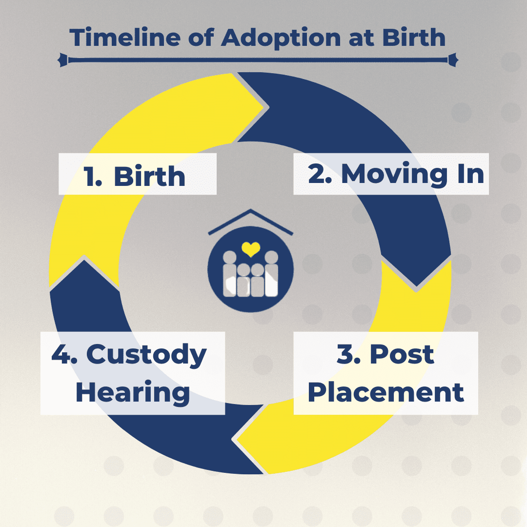 Adoption Timeline
